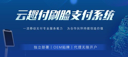 聚合支付是什么 聚合支付服务商怎么做